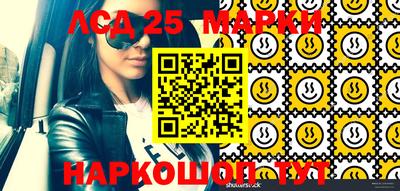 мдпв Донской