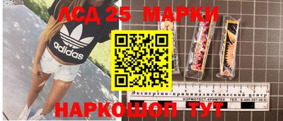 spice Дубна