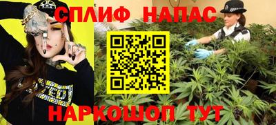 spice Дубна