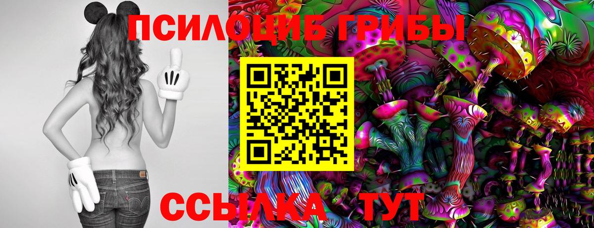 Галлюциногенные грибы Magic Shrooms  Галлюциногенные грибы Psilocybine cubensis  Вход с VPN  Муром 