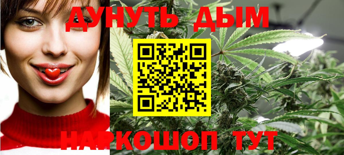 Каннабис OG Kush Муром